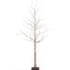6 Foot Tall Prelit Birch Tree, Warm White Leds
