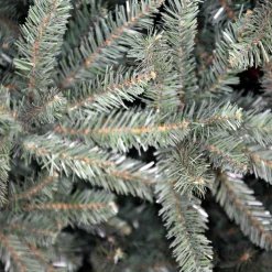 10Ft Glenbrook Fir Blue Tree #114-Grb-100