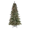 7.Ft Pre-Lit Mixed Needle Arcadia Fir Christmas Tree With Pinecones And Clear/Warm White Led Lights