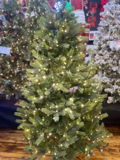 Puleo International 6.5 Pre-Lit Kensington Fir Tree #114-Ksg-65Qld5K6