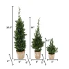Set Of 3 Slim Potted Christmas Trees