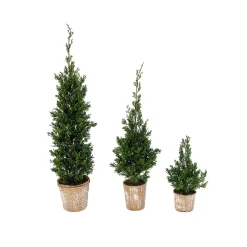 Set Of 3 Slim Potted Christmas Trees